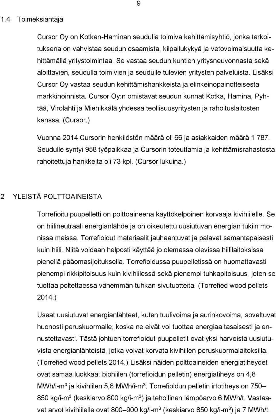 Lisäksi Cursor Oy vastaa seudun kehittämishankkeista ja elinkeinopainotteisesta markkinoinnista.