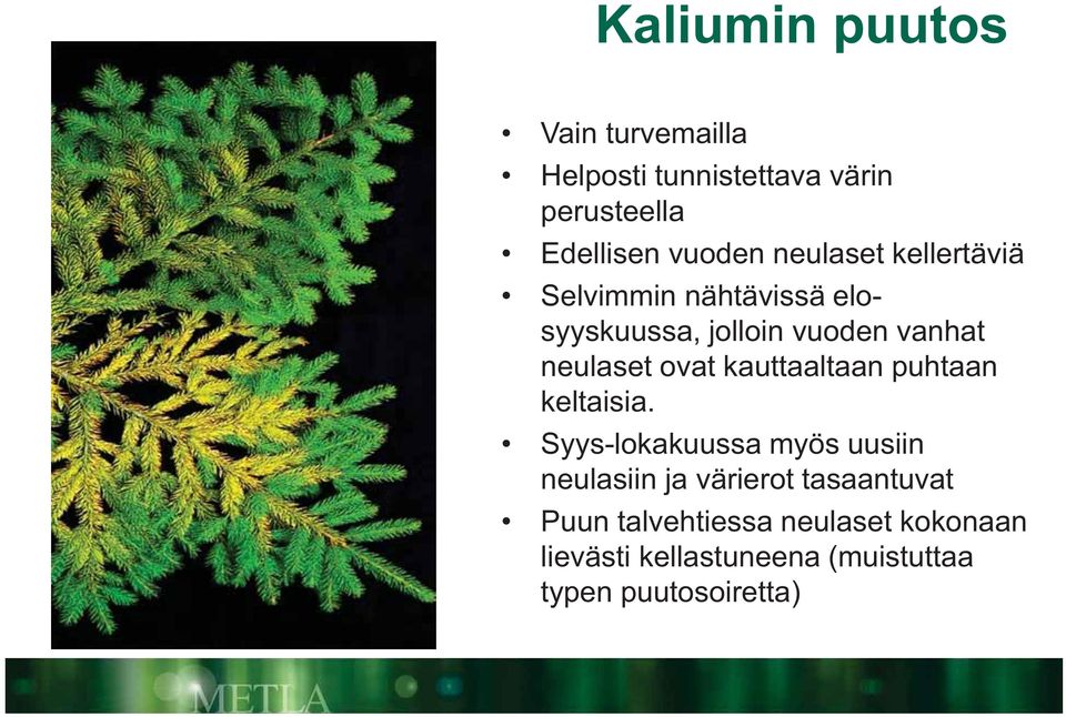 kauttaaltaan puhtaan keltaisia.