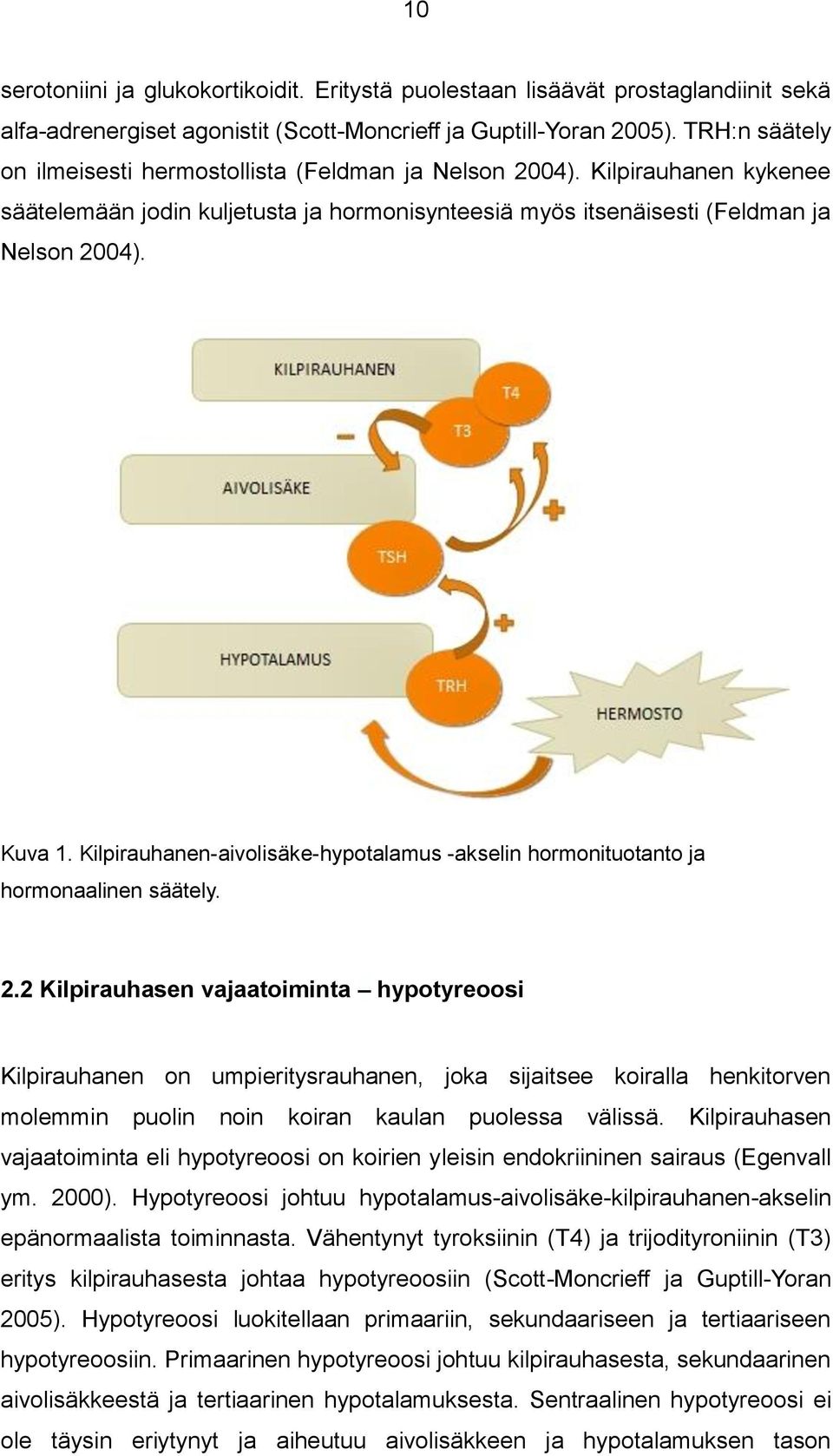 Kilpirauhanen-aivolisäke-hypotalamus -akselin hormonituotanto ja hormonaalinen säätely. 2.
