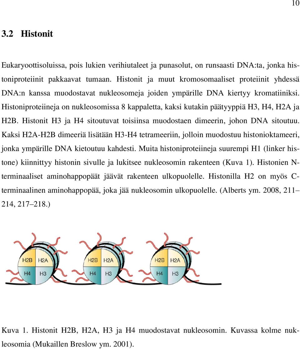 Histoniproteiineja on nukleosomissa 8 kappaletta, kaksi kutakin päätyyppiä H3, H4, H2A ja H2B. Histonit H3 ja H4 sitoutuvat toisiinsa muodostaen dimeerin, johon DNA sitoutuu.