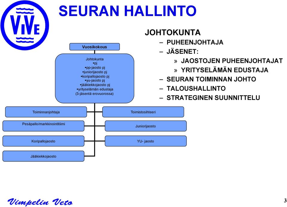 JAOSTOJEN PUHEENJOHTAJAT» YRITYSELÄMÄN EDUSTAJA SEURAN TOIMINNAN JOHTO TALOUSHALLINTO STRATEGINEN