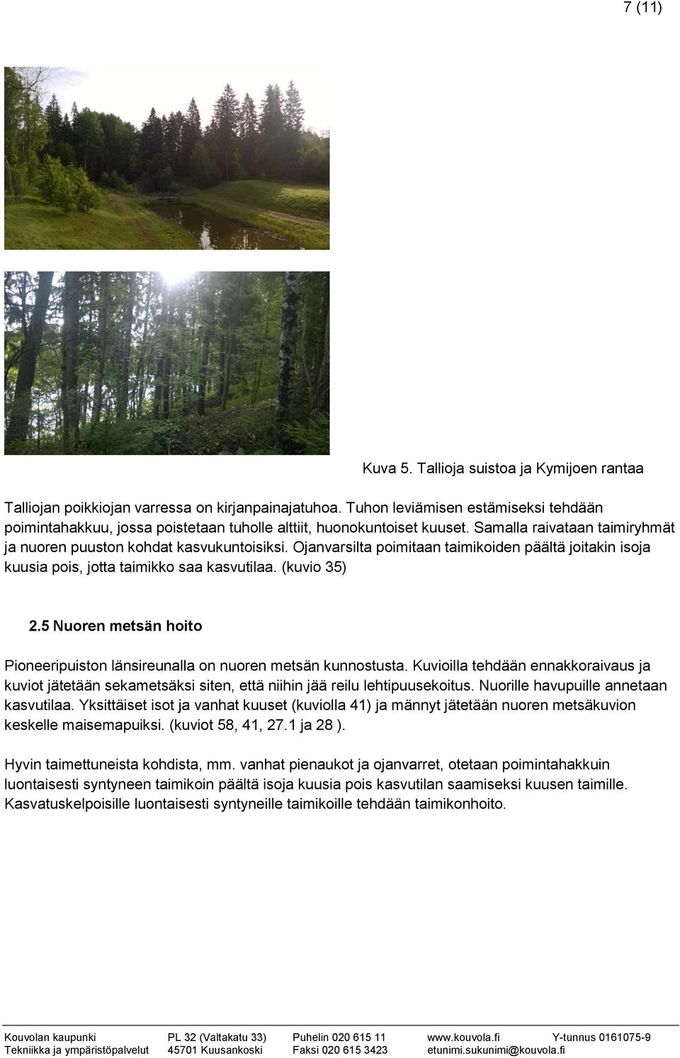 Ojanvarsilta poimitaan taimikoiden päältä joitakin isoja kuusia pois, jotta taimikko saa kasvutilaa. (kuvio 35) 2.5 Nuoren metsän hoito Pioneeripuiston länsireunalla on nuoren metsän kunnostusta.