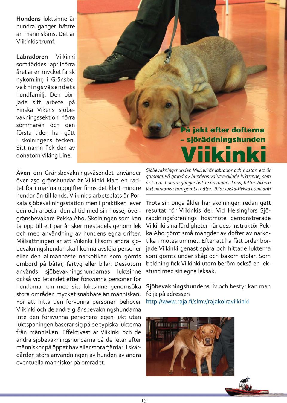 Även om Gränsbevakningsväsendet använder över 250 gränshundar är Viikinki klart en raritet för i marina uppgifter finns det klart mindre hundar än till lands.