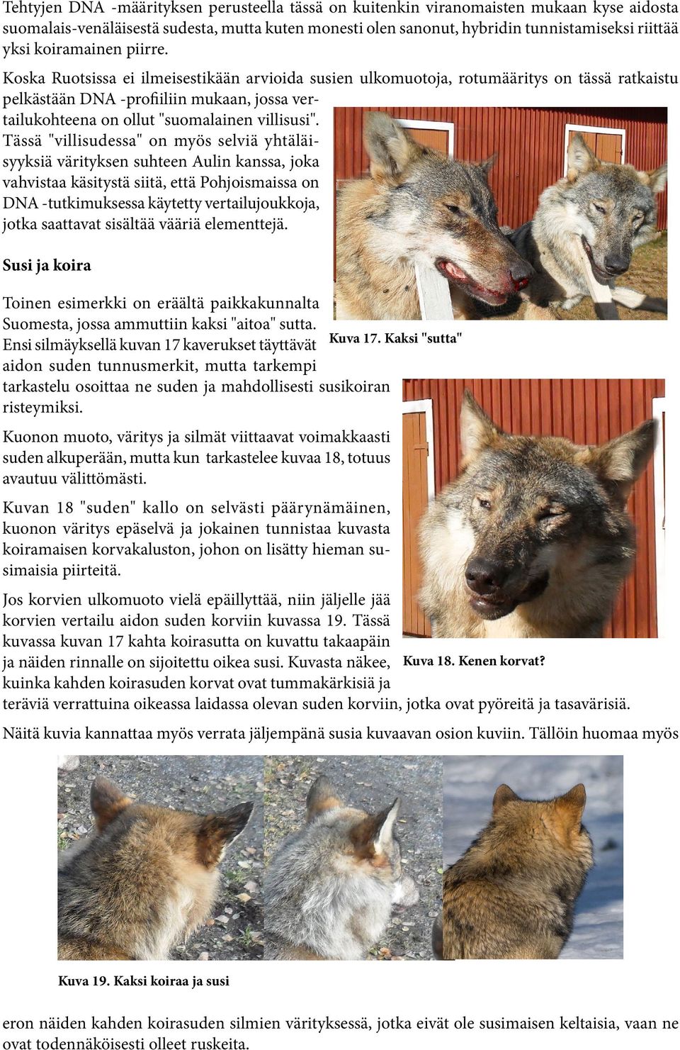 Koska Ruotsissa ei ilmeisestikään arvioida susien ulkomuotoja, rotumääritys on tässä ratkaistu pelkästään DNA -profiiliin mukaan, jossa vertailukohteena on ollut "suomalainen villisusi".