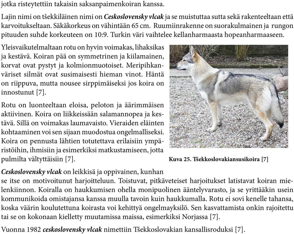 Yleisvaikutelmaltaan rotu on hyvin voimakas, lihaksikas ja kestävä. Koiran pää on symmetrinen ja kiilamainen, korvat ovat pystyt ja kolmionmuotoiset.