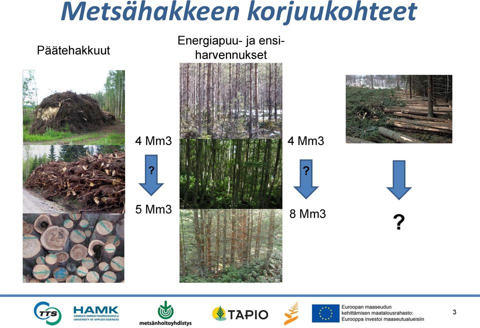 Päätehakkuut Energiapuu-