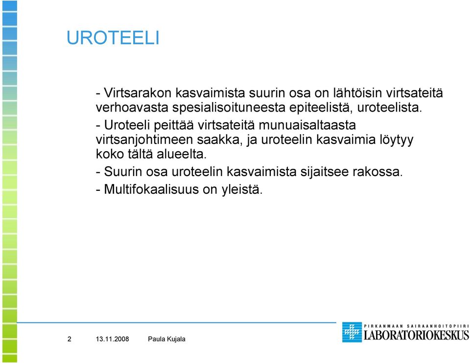 Uroteeli peittää virtsateitä munuaisaltaasta virtsanjohtimeen saakka, ja uroteelin