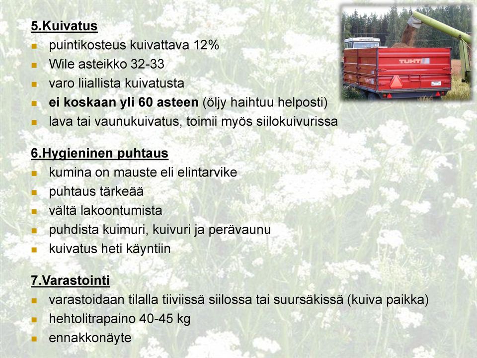 Hygieninen puhtaus kumina on mauste eli elintarvike puhtaus tärkeää vältä lakoontumista puhdista kuimuri, kuivuri