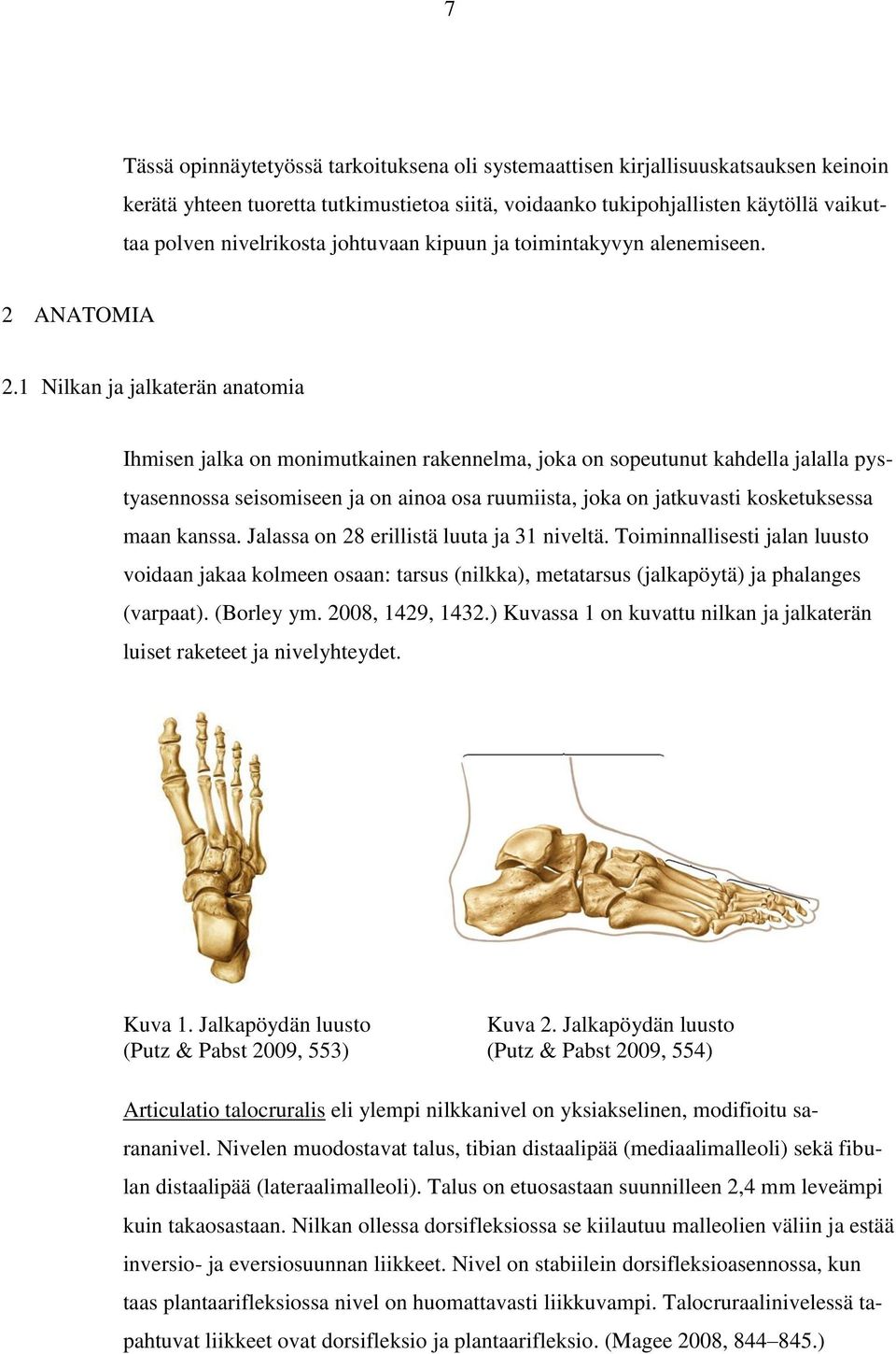 1 Nilkan ja jalkaterän anatomia Ihmisen jalka on monimutkainen rakennelma, joka on sopeutunut kahdella jalalla pystyasennossa seisomiseen ja on ainoa osa ruumiista, joka on jatkuvasti kosketuksessa