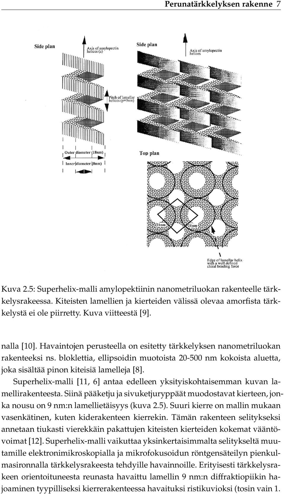 Havaintojen perusteella on esitetty tärkkelyksen nanometriluokan rakenteeksi ns. bloklettia, ellipsoidin muotoista 20-500 nm kokoista aluetta, joka sisältää pinon kiteisiä lamelleja [8].
