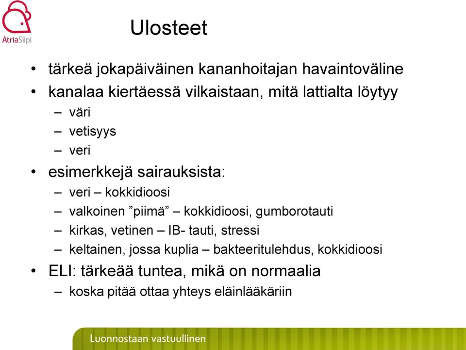 kokkidioosi, gumborotauti kirkas, vetinen IB- tauti, stressi keltainen, jossa kuplia