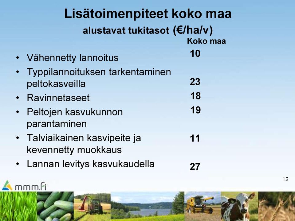 Peltojen kasvukunnon parantaminen Talviaikainen kasvipeite ja