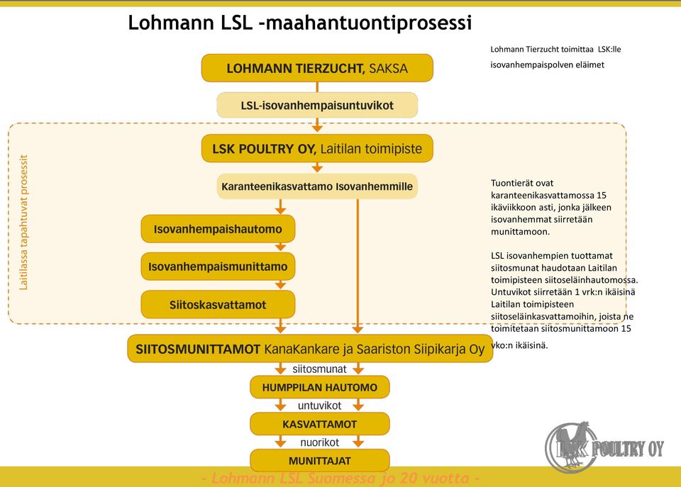 LSL isovanhempien tuottamat siitosmunat haudotaan Laitilan toimipisteen siitoseläinhautomossa.