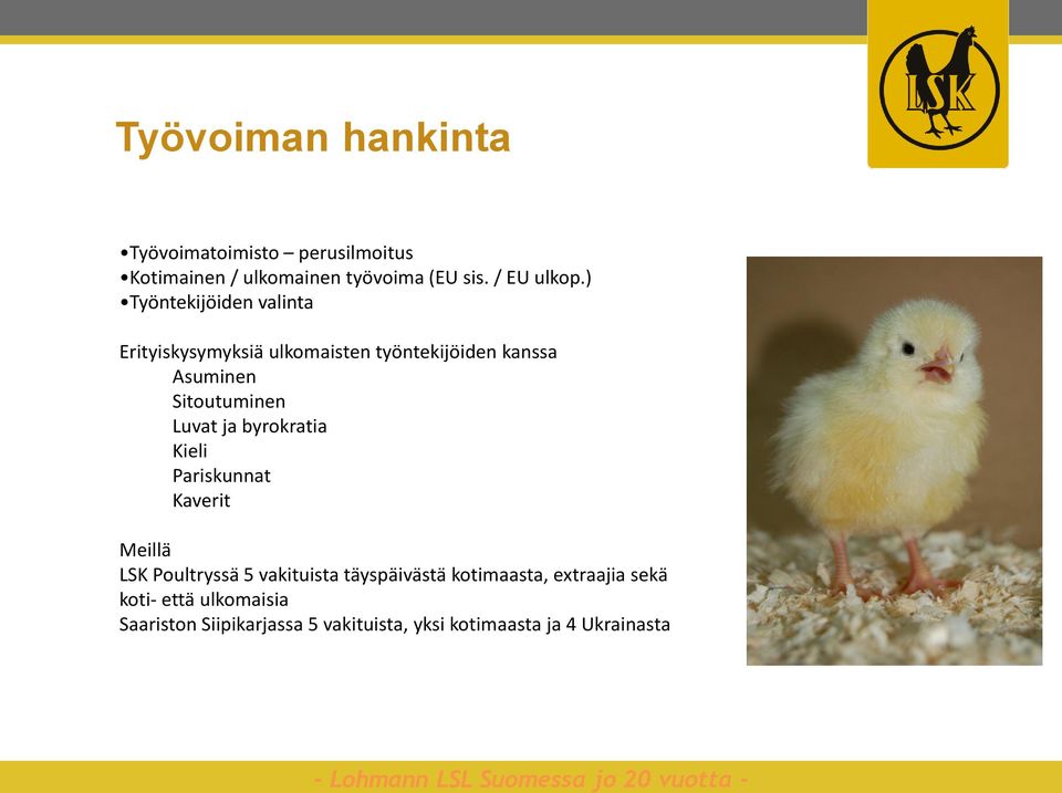 Luvat ja byrokratia Kieli Pariskunnat Kaverit Meillä LSK Poultryssä 5 vakituista täyspäivästä