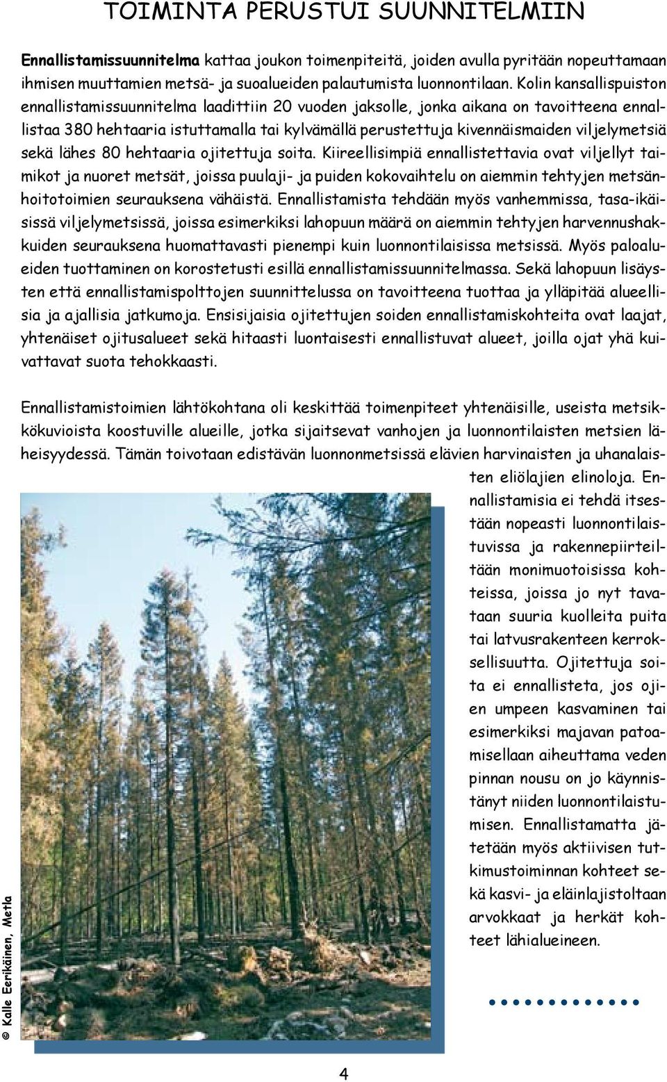 viljelymetsiä sekä lähes 80 hehtaaria ojitettuja soita.