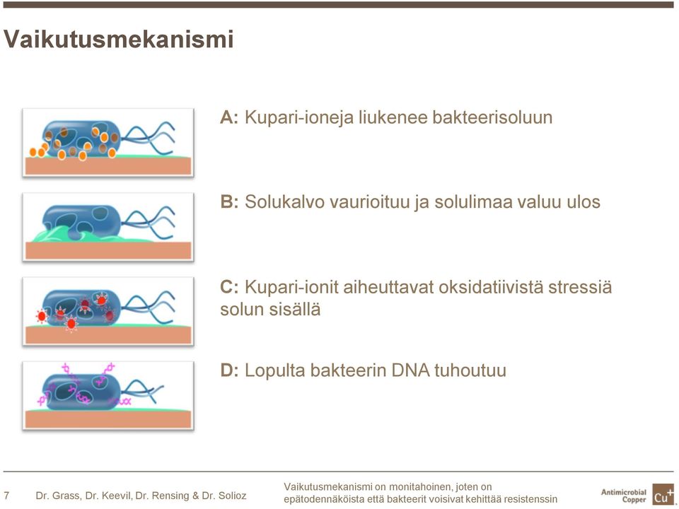 Lopulta bakteerin DNA tuhoutuu 7 Dr. Grass, Dr. Keevil, Dr. Rensing & Dr.