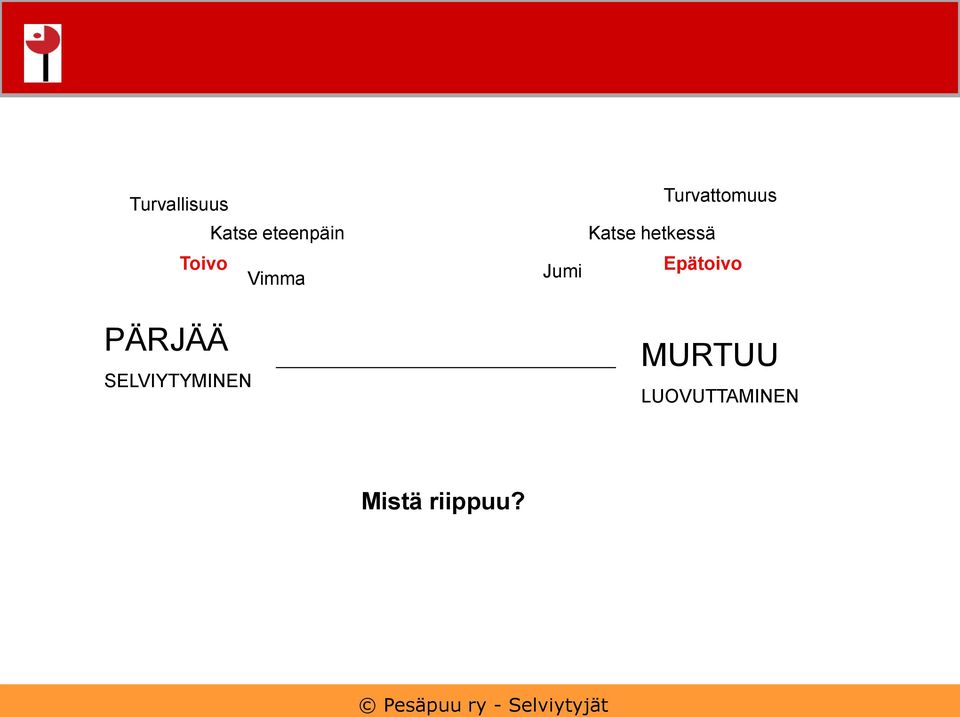 Vimma Jumi Katse