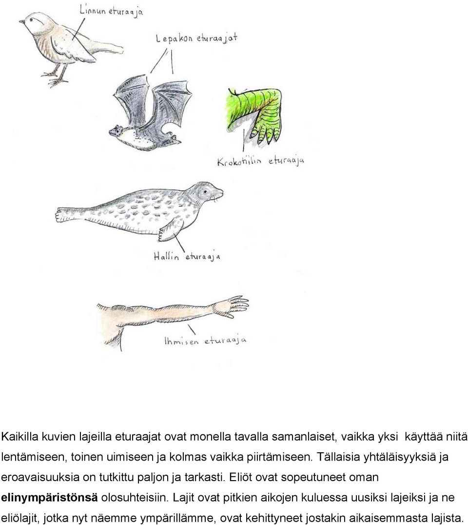 Tällaisia yhtäläisyyksiä ja eroavaisuuksia on tutkittu paljon ja tarkasti.