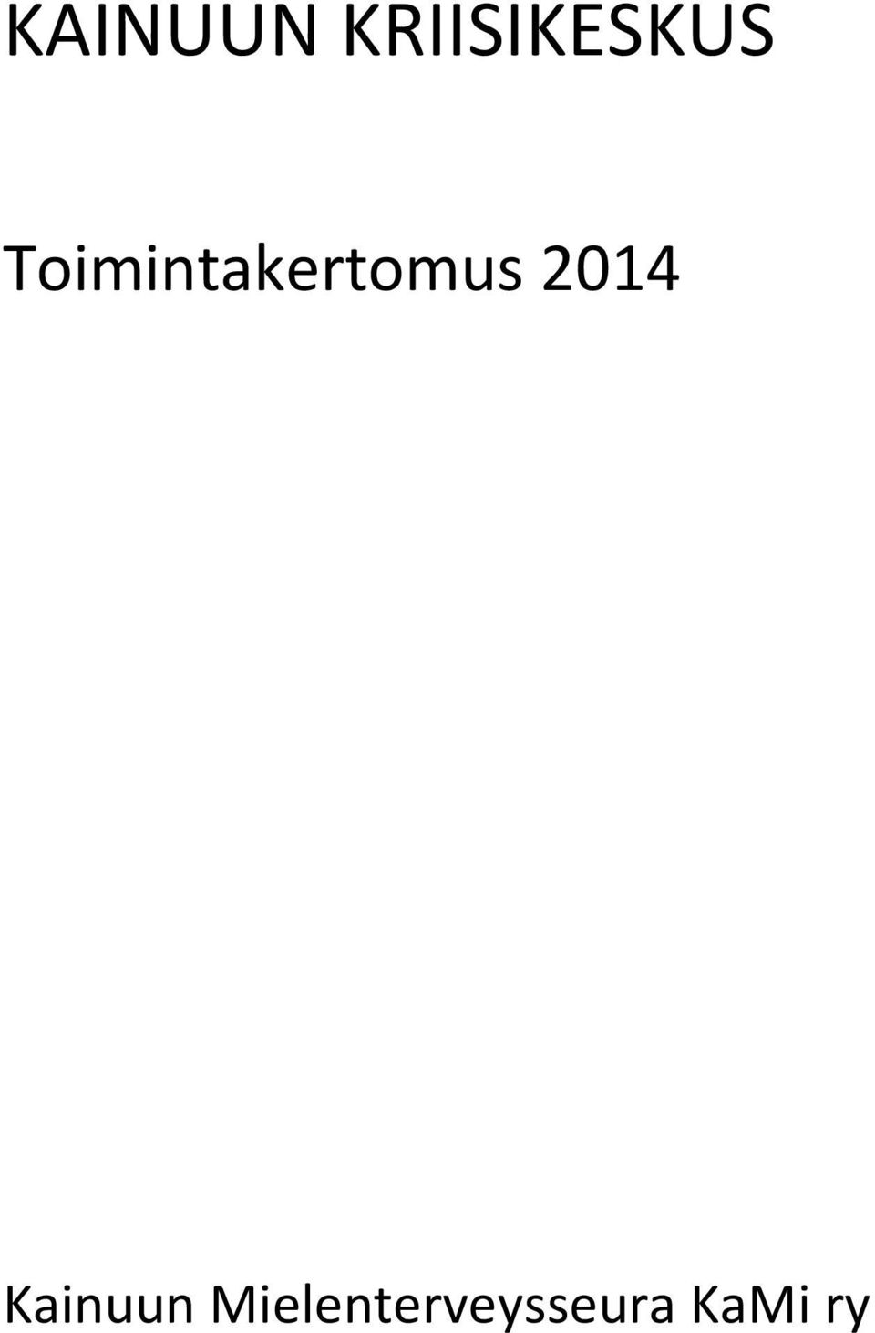 Toimintakertomus