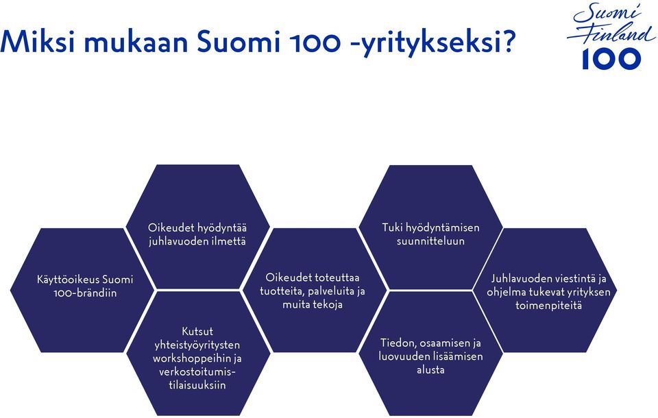 Käyttöoikeus Suomi 100-brändiin Oikeudet toteuttaa tuotteita, palveluita ja muita tekoja Juhlavuoden viestintä ja