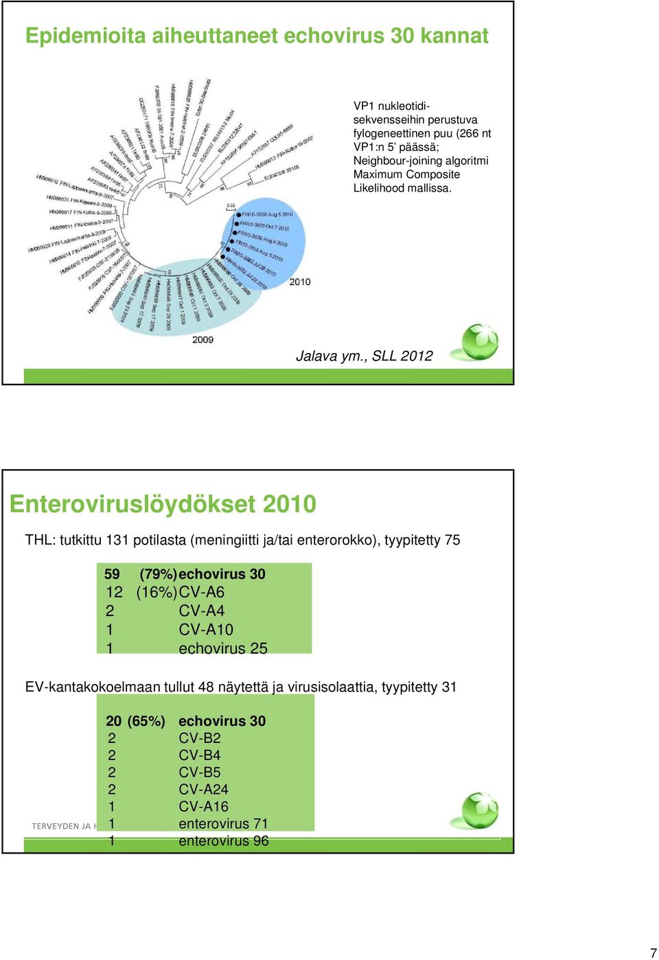 , SLL 2012 Enteroviruslöydökset 2010 THL: tutkittu 131 potilasta (meningiitti ja/tai enterorokko), tyypitetty 75 59 (79%) echovirus 30 12