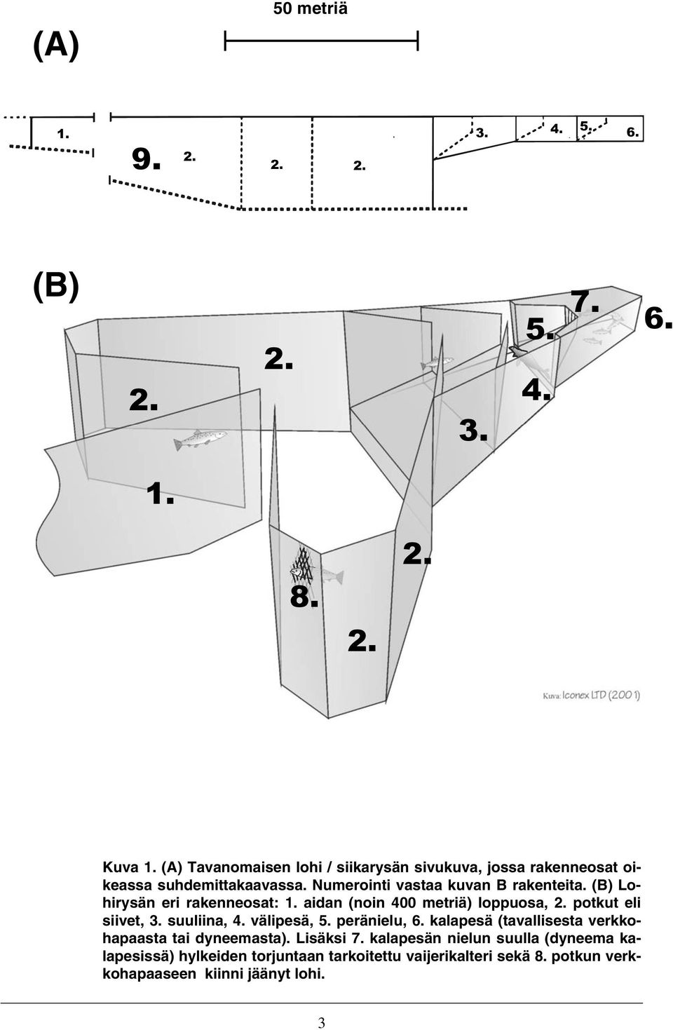 (B) Lohirysän eri rakenneosat: 1. aidan (noin 400 metriä) loppuosa, 2. potkut eli siivet, 3. suuliina, 4. välipesä, 5. peränielu, 6.