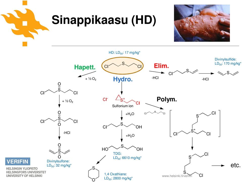 + ½ O 2 -HCl -HCl + ½ O 2 Sulfonium ion Polym.