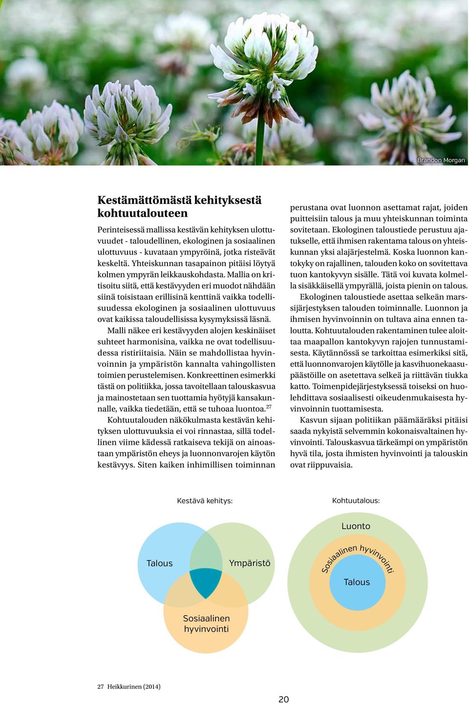 Mallia on kritisoitu siitä, että kestävyyden eri muodot nähdään siinä toisistaan erillisinä kenttinä vaikka todellisuudessa ekologinen ja sosiaalinen ulottuvuus ovat kaikissa taloudellisissa