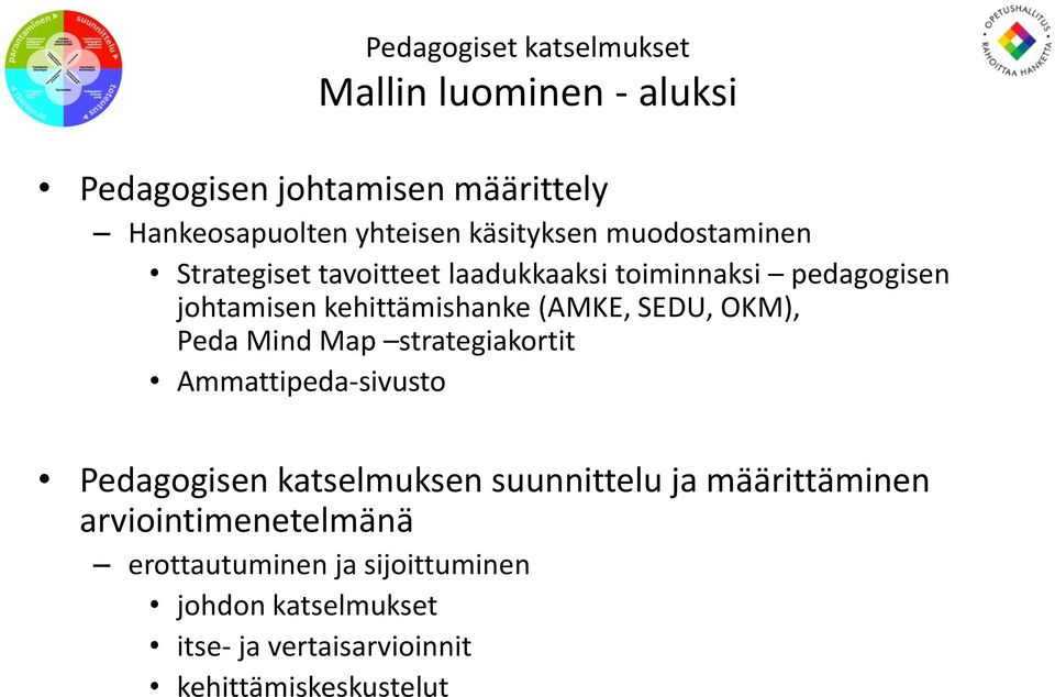 Peda Mind Map strategiakortit Ammattipeda-sivusto Pedagogisen katselmuksen suunnittelu ja määrittäminen