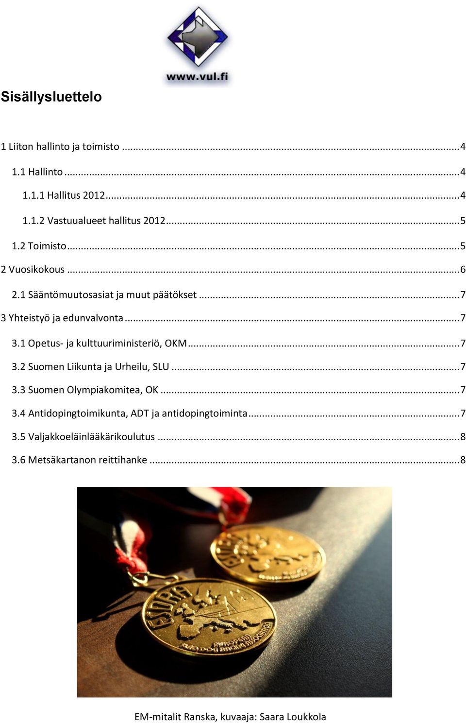 .. 7 3.2 Suomen Liikunta ja Urheilu, SLU... 7 3.3 Suomen Olympiakomitea, OK... 7 3.4 Antidopingtoimikunta, ADT ja antidopingtoiminta.