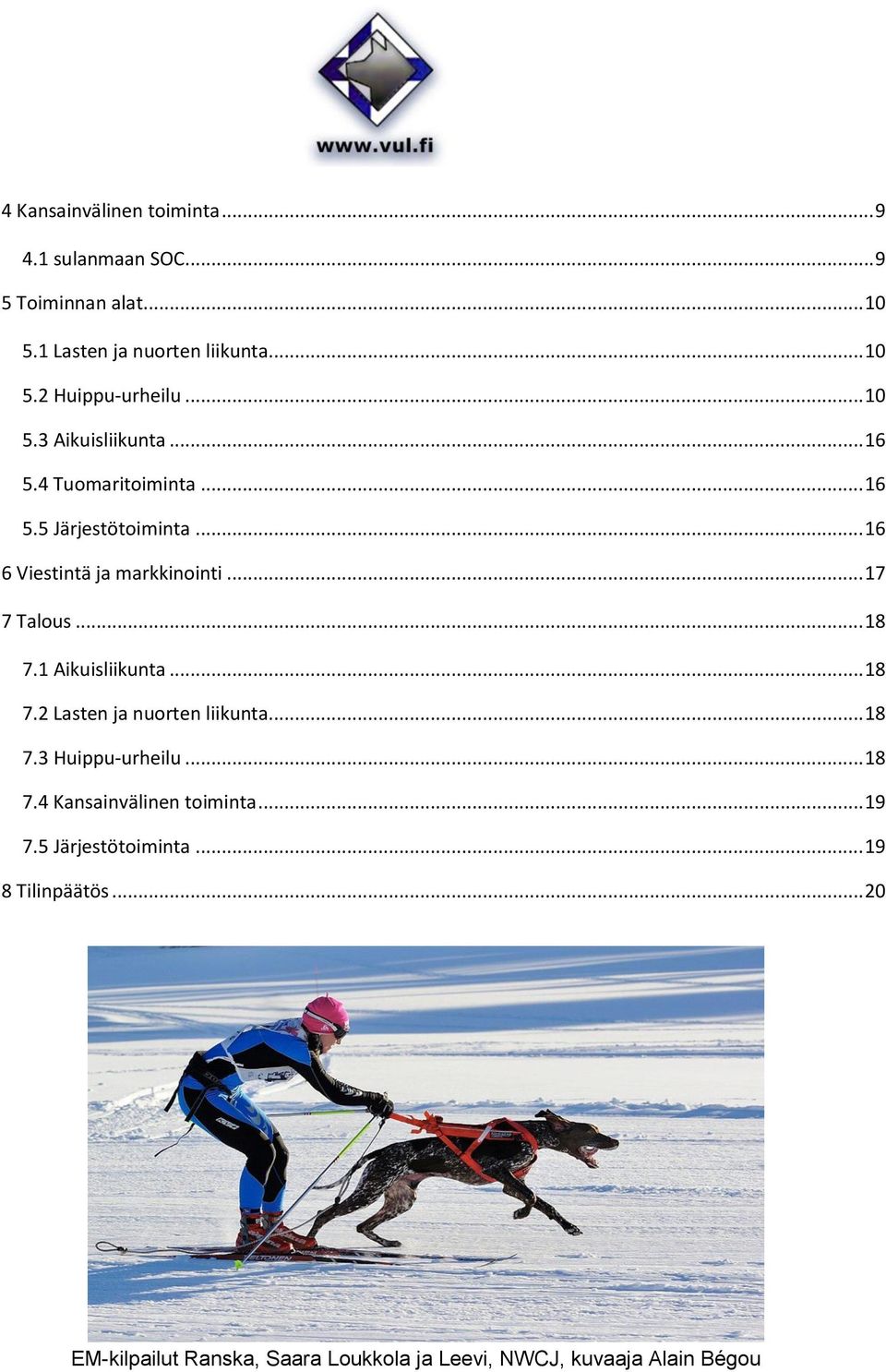 .. 18 7.1 Aikuisliikunta... 18 7.2 Lasten ja nuorten liikunta... 18 7.3 Huippu-urheilu... 18 7.4 Kansainvälinen toiminta... 19 7.