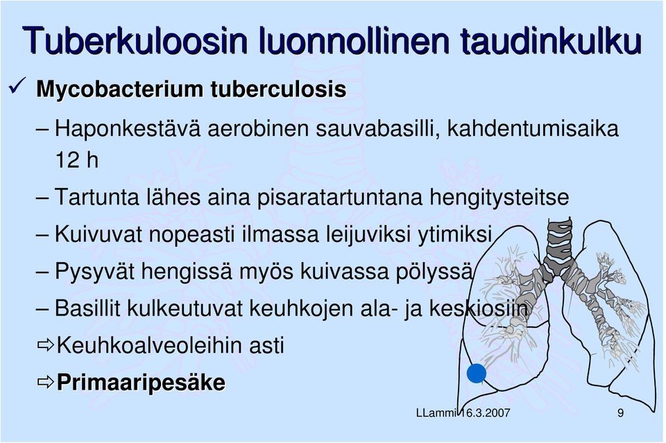 Kuivuvat nopeasti ilmassa leijuviksi ytimiksi Pysyvät hengissä myös kuivassa pölyssä