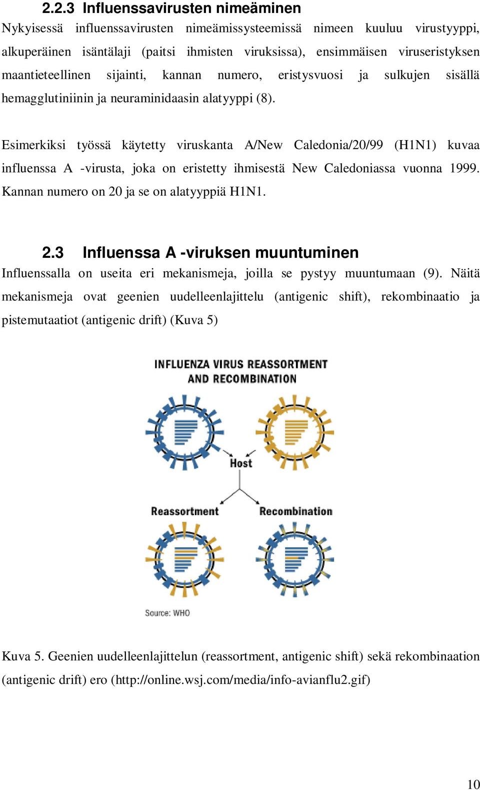 Esimerkiksi työssä käytetty viruskanta A/New Caledonia/20/99 (H1N1) kuvaa influenssa A -virusta, joka on eristetty ihmisestä New Caledoniassa vuonna 1999. Kannan numero on 20 ja se on alatyyppiä H1N1.