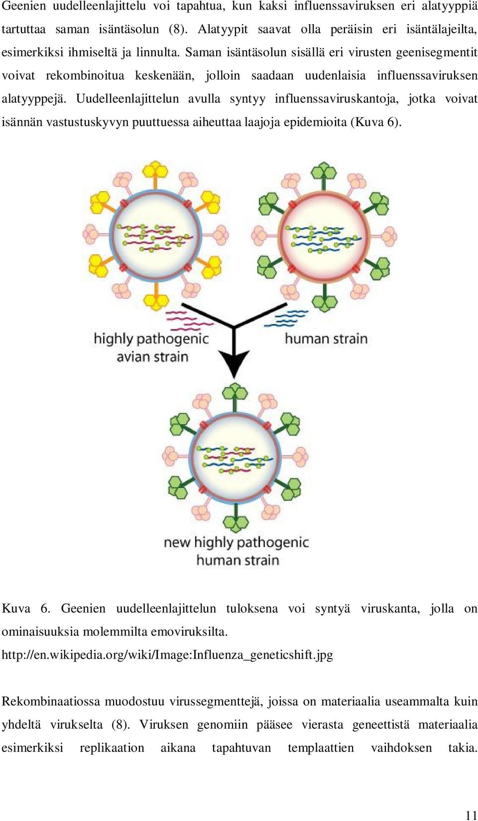 Saman isäntäsolun sisällä eri virusten geenisegmentit voivat rekombinoitua keskenään, jolloin saadaan uudenlaisia influenssaviruksen alatyyppejä.