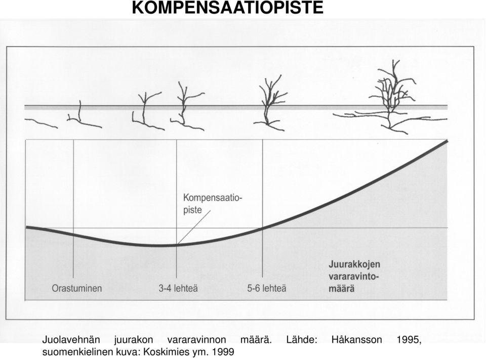 suomenkielinen kuva: Koskimies