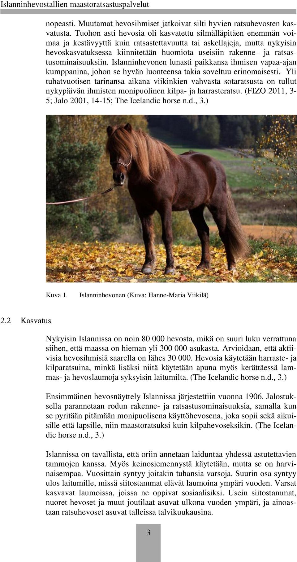 ratsastusominaisuuksiin. Islanninhevonen lunasti paikkansa ihmisen vapaa-ajan kumppanina, johon se hyvän luonteensa takia soveltuu erinomaisesti.