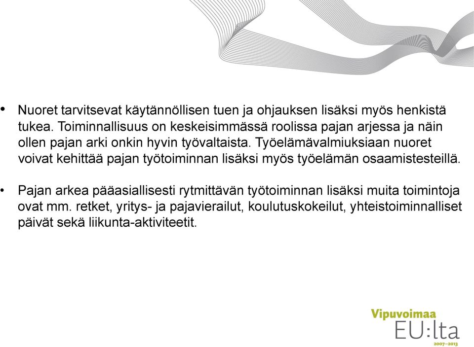 Työelämävalmiuksiaan nuoret voivat kehittää pajan työtoiminnan lisäksi myös työelämän osaamistesteillä.