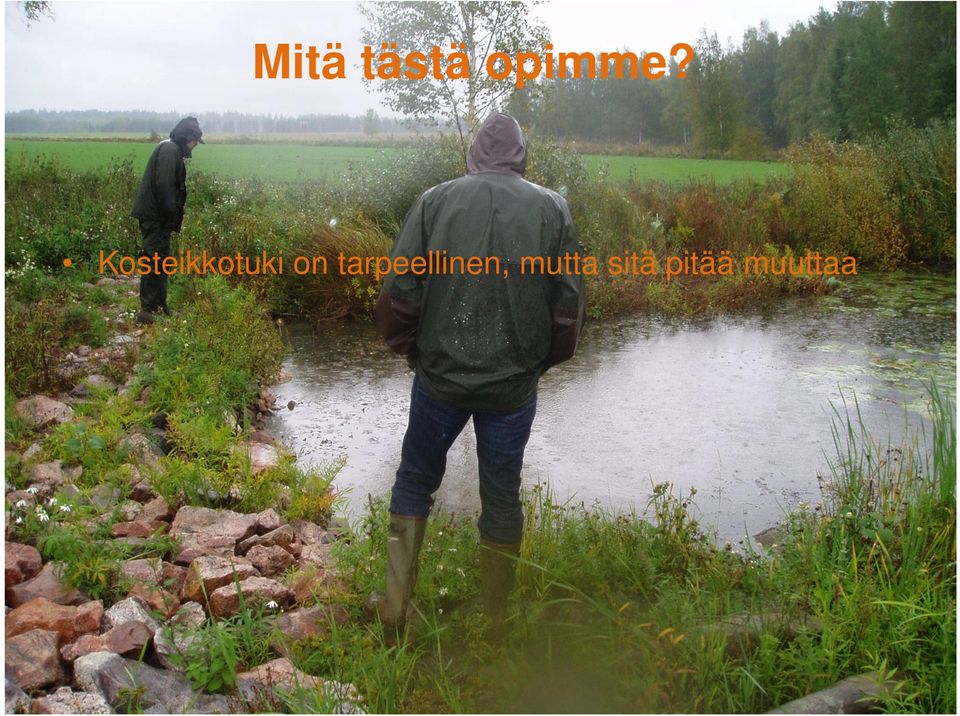 tarpeellinen,