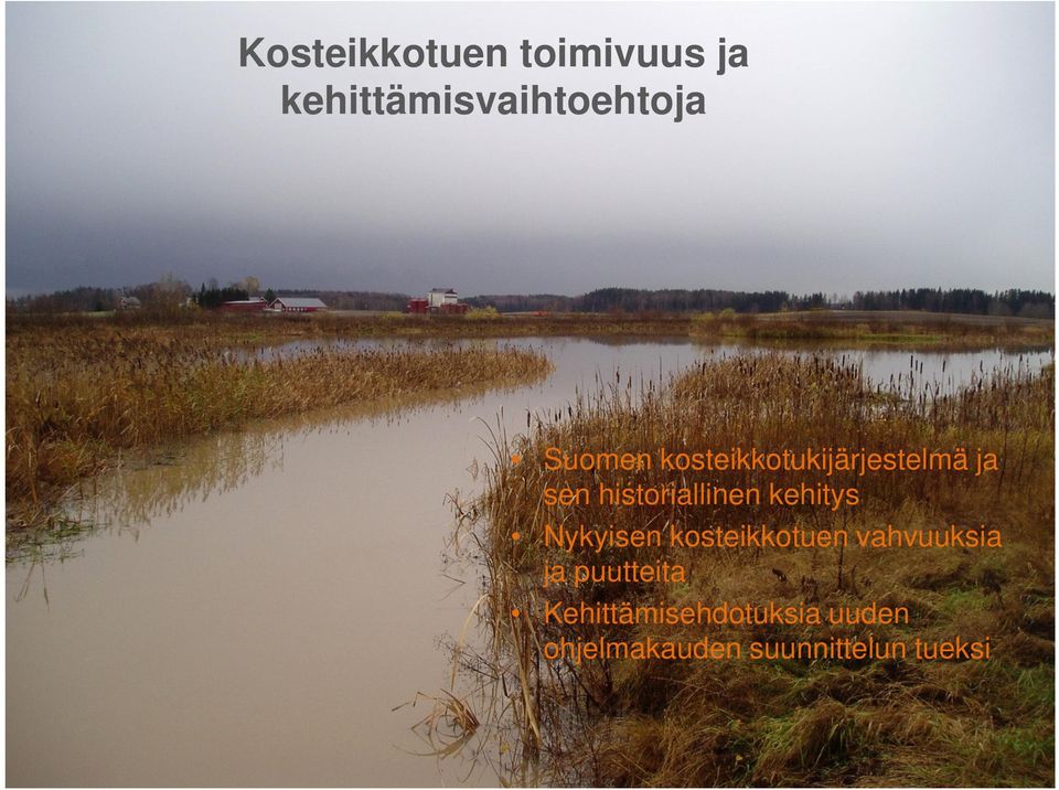 kehitys Nykyisen kosteikkotuen vahvuuksia ja puutteita