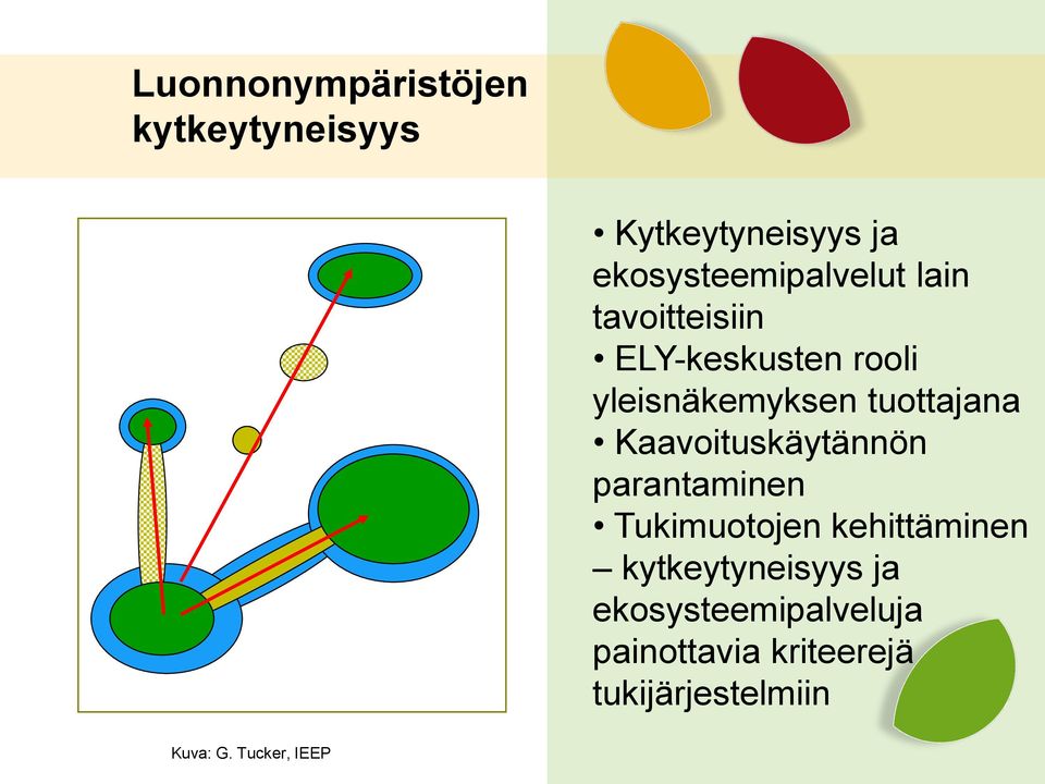 Kaavoituskäytännön parantaminen Tukimuotojen kehittäminen kytkeytyneisyys