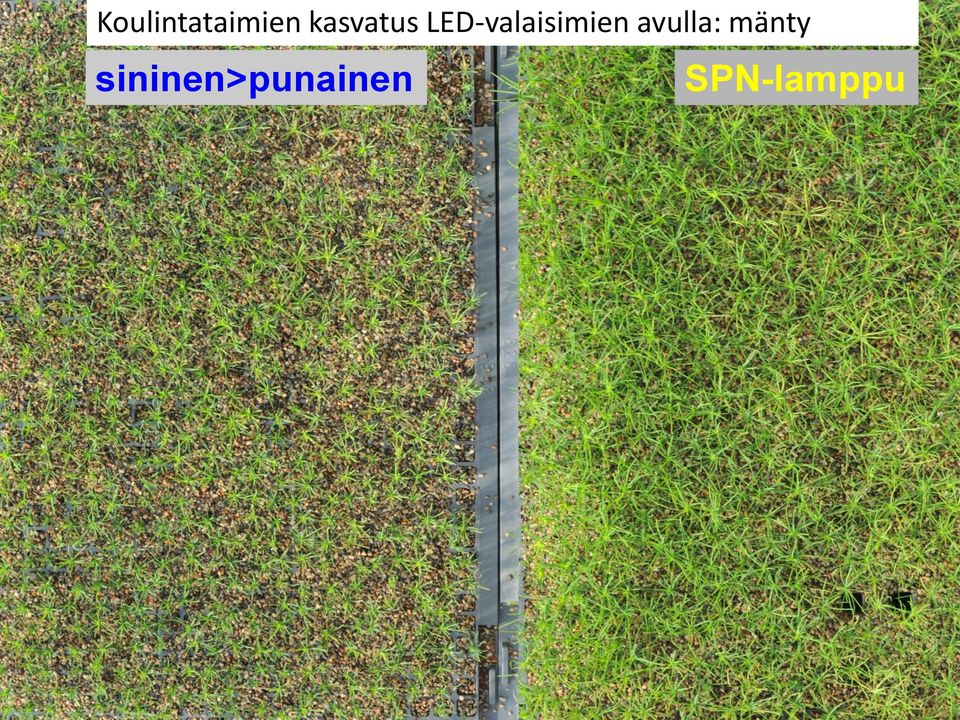 LED-valaisimien