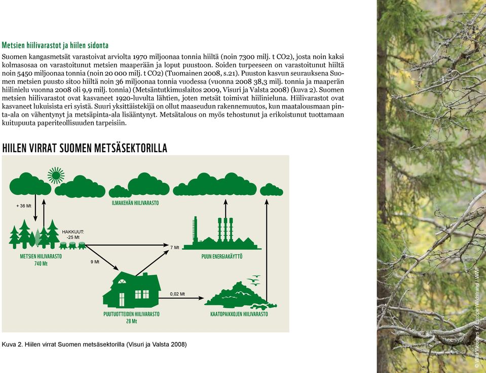 t CO2) (Tuomainen 2008, s.21). Puuston kasvun seurauksena Suomen metsien puusto sitoo hiiltä noin 36 miljoonaa tonnia vuodessa (vuonna 2008 38,3 milj.