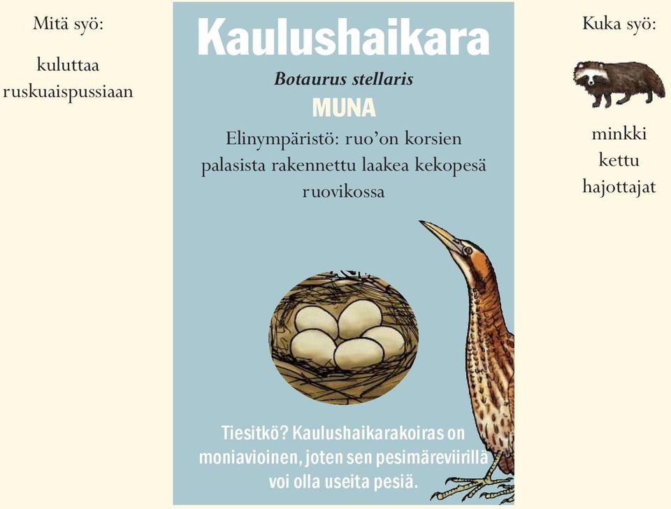 kekopesä ruovikossa Kuka syö: minkki kettu hajottajat Tiesitkö?