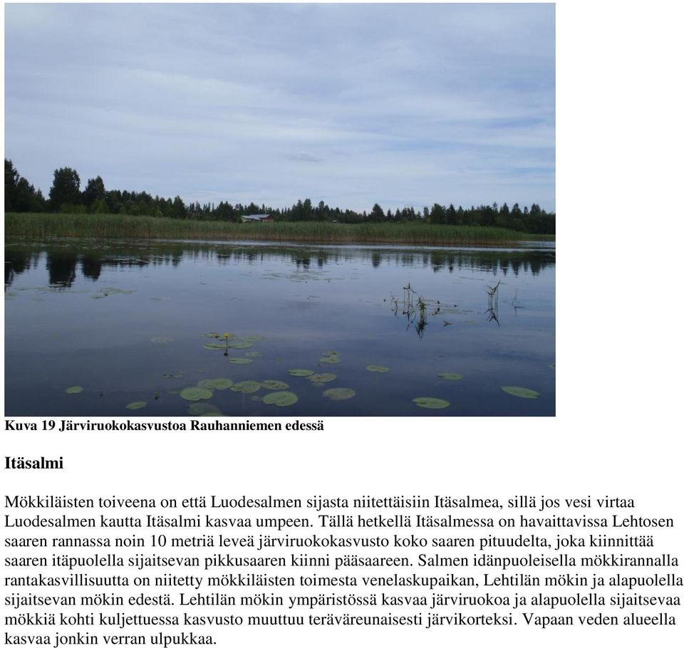 Tällä hetkellä Itäsalmessa on havaittavissa Lehtosen saaren rannassa noin 10 metriä leveä järviruokokasvusto koko saaren pituudelta, joka kiinnittää saaren itäpuolella sijaitsevan pikkusaaren