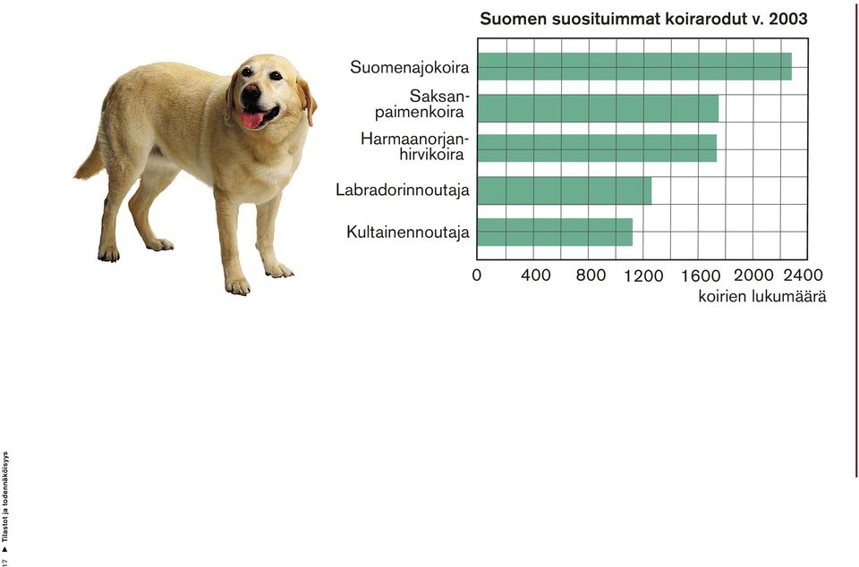 Saksanpaimenkoira Labradorinnoutaja