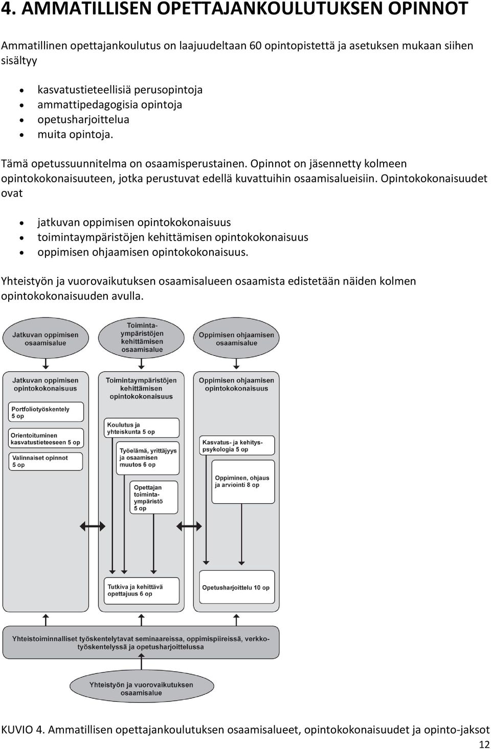 Opinnot on jäsennetty kolmeen opintokokonaisuuteen, jotka perustuvat edellä kuvattuihin osaamisalueisiin.