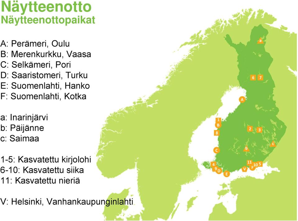 Suomenlahti, Kotka a: Inarinjärvi b: Päijänne c: Saimaa -: Kasvatettu