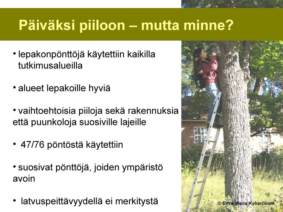 hyviä vaihtoehtoisia piiloja sekä rakennuksia että puunkoloja