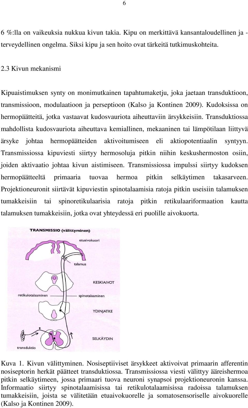 Kudoksissa on hermopäätteitä, jotka vastaavat kudosvauriota aiheuttaviin ärsykkeisiin.