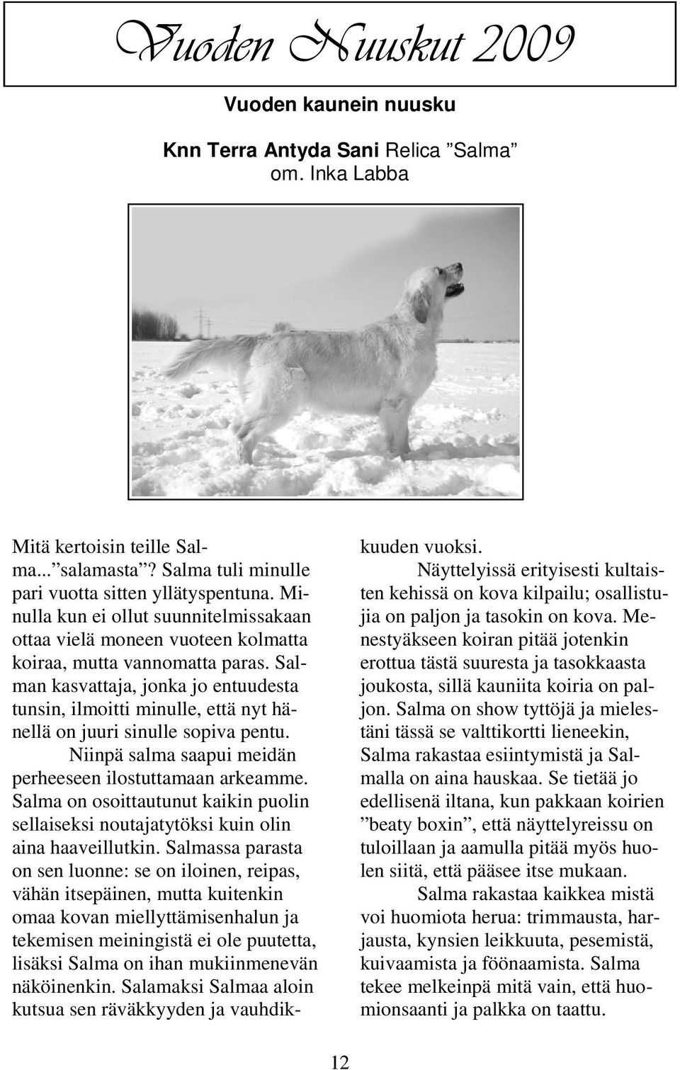 Salman kasvattaja, jonka jo entuudesta tunsin, ilmoitti minulle, että nyt hänellä on juuri sinulle sopiva pentu. Niinpä salma saapui meidän perheeseen ilostuttamaan arkeamme.